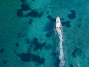 Wealth-Journey-Financial-experts-Sydney-Process
