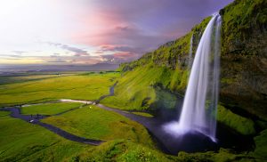 wealth-journey-expert-Financial-Advisers-Sydney