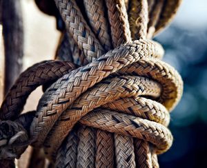 wealth-journey-financial-advice-happy-clients