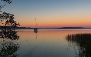 wealth-journey-retirement